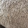 coolbeans849
